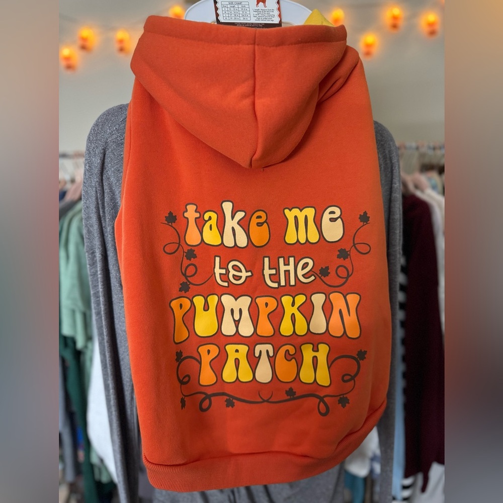 🔥Orange 'Take Me to the Pumpkin Patch' doggie Hoodie XL